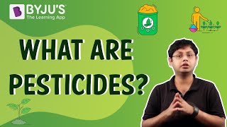 Pesticides  Uses Disadvantages and Advantages [upl. by Enida]