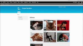 Drupal 7 Advanced Views Tip Contextual Filters [upl. by Lazes412]