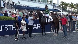 Gulfstream Park Replay Show  February 10 2024 [upl. by Wetzel859]