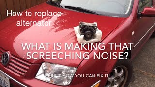 How to fix Screeching squealing when turning steering wheel VW Jetta TDI [upl. by Nairad]