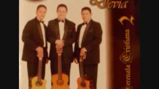 Trio Hermanos Devia Como no creer en Dios Album TRIO HERMANOS DEVIA  Serenata Cristiana 2 [upl. by Ettevol]