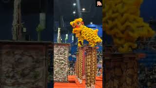 2024 Malaysia National Lion Dance Championship ExG26292 [upl. by Popelka]