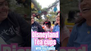 Teacups disneyland [upl. by Aneerahs513]