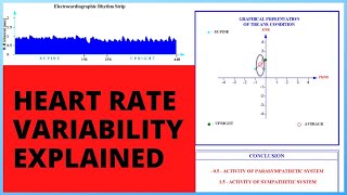 Heart Rate Variability Explained [upl. by Panthea]