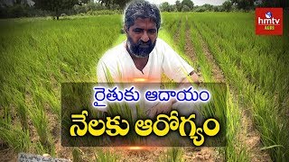 ఆరుతడి విధానంలో వరి పండిస్తున్న విజయ్‌రామ్‌  Inter Cropping In Paddy  Natural Farming  hmtv Agri [upl. by Eikceb388]