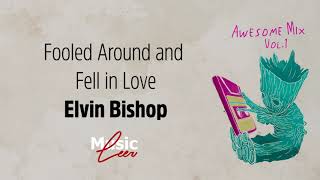 Elvin Bishop  Fooled around and fell in love 1975 [upl. by Retsevel797]