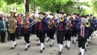 Musikverein MV Zainingen beim Landesmusikfest 2010 in Metzingen Marschmusikbewertung [upl. by Hedwig]