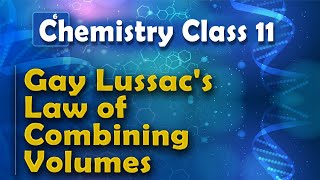 Gay Lussacs Law of Combining Volumes  Basic Concepts of Chemistry  Chemistry Class 11 [upl. by Affer265]