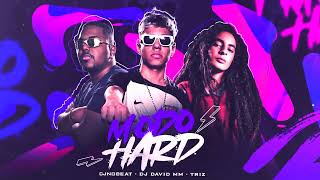 MODO HARD  TROPA DO BRUXO 🧙  TRIZ  CJNOBEAT E DJ DAVID MM  ARROCHADEIRA REMIX [upl. by Hedve209]