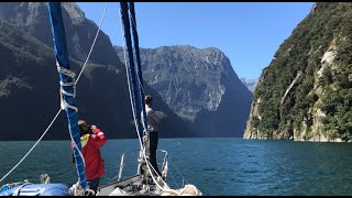 Chimere in Fiordland NZ March 2020 [upl. by Naerol]