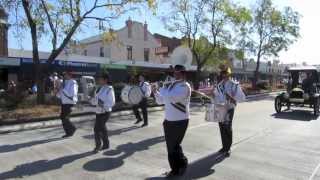 Horse festival parade  Scone NSW Australia [upl. by Locke]