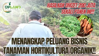 Menangkap Peluang Bisnis Tanaman Hortikultura Organik untuk Petani UPLAND  UPLAND Project [upl. by Kjersti975]