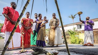 Pongal celebration 2020  Festival in Malaysia [upl. by Gentes]