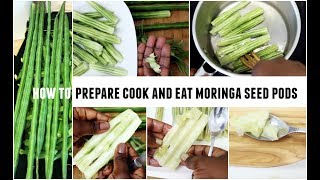 Moringa Oleifera Seed Pods Drumstick Tree Pods How To Prepare Cook And Eat Superfood [upl. by Atteuqehs55]