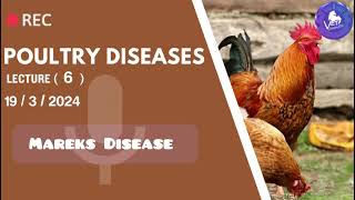 Poultry Disease  Mareks Disease [upl. by Deden]