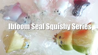 Ibloom Seal Squishy Series [upl. by Marlowe883]