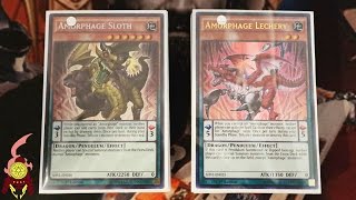 YUGIOH BEST AMORPHAGE DECK PROFILE MAY 2016 POST SHIV Ft DDD Dave [upl. by Eelyam]