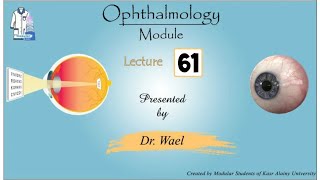 61 Eye and the brain 1 Papilloedema Dr Wael Ophthalmology [upl. by Thaxter]