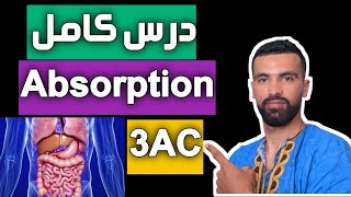 labsorption intestinale 🔺 svt 3ac 3eme année college maroc 🔺 partie 2 résumé [upl. by Nolrev]