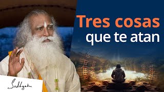 Descubre el poder de tu mente liberándote de estas tres cosas  Sadhguru Español [upl. by Chil]