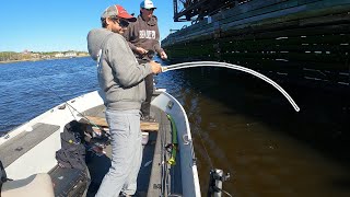 Striper Fishing Merrimack River 2023 [upl. by Blinny]