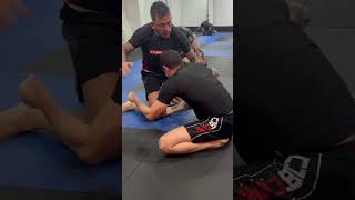 El arte suave en satori Bjj bjj grappling [upl. by Cahra]