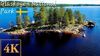 4K Virtual Walk Stora Gla Glaskogen Nationalpark Sweden Part 2 [upl. by Ynohtnanhoj]