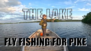 Fly Fishing For PIKE  The Lake Of Menteith [upl. by Auqinal]