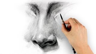 How to Draw a Nose  Step by Step [upl. by Neale]