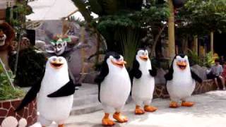 Madagascar Penguins dancing in Universal Studios Singapore [upl. by Akiehsal]