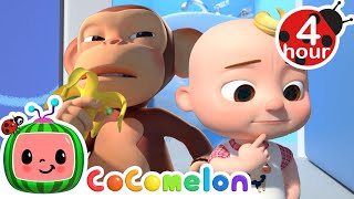 Learning To Wait Your Turn  More  Cocomelon  Nursery Rhymes  Fun Cartoons For Kids  3 Hours [upl. by Ahsieyt]