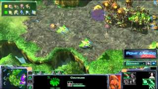 HD169 MoMaN vs Naniwa  featuring MoMaN  PvZ  Starcraft 2 Replay FR [upl. by Renate3]