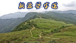 桃源谷步道大溪線草嶺線大溪→福隆 [upl. by Fennessy]