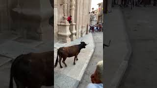 😱 HOMBRE EN APUROS SUBIDO EN LA COLUMNA DE LA IGLESIA [upl. by Ibrad48]