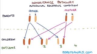 Understanding Autosomal Dominant and Autosomal Recessive Inheritance [upl. by Ateuqahs711]