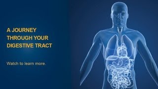 The Digestive Process  University of Michigan Health System [upl. by Atikram]