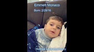 LEUKODYSTROPHY AWARENESS SLIDESHOW 2019 [upl. by Ichabod]