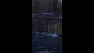 my dog Light is live Relaxing waterfall sounds ￼relaxing water waterfallsounds video [upl. by Adaran397]