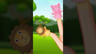 Animals Finger Family  Animal Finger Song  Kids Songs and Nursery Rhymes Kids TV  Kids Songs [upl. by Casper]