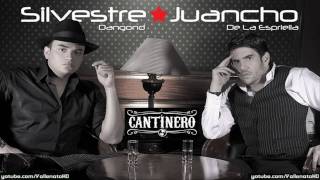 Silvestre Dangond  Has Cambiado Mi Vida Cantinero  Vallenato 2010 [upl. by Hightower928]