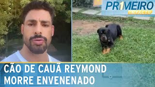 Após morte de cão de Cauã polícia investiga outros envenenamentos  Primeiro Impacto 100624 [upl. by Nils]