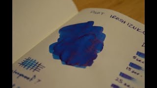 Ink Overview Pt 1  Pilot iroshizuku konpeki fuyugaki tsukiyo [upl. by Elysha]