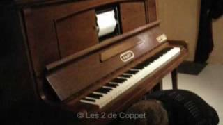 quotPianoAccordeonJazzquot Gaby de la Maison René Seybold [upl. by Antoinette]