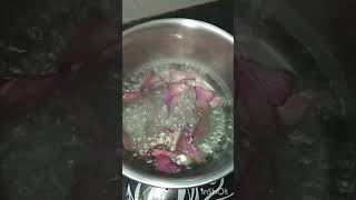 HealthyHibiscus tea hibiscus keep supporting as and subscribe [upl. by Adnorhs590]