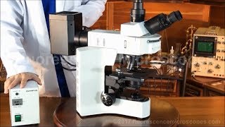 Olympus BX41 Upright Fluorescence Microscope SKU044 [upl. by Weirick]