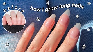 5 Steps To Grow Long Nails FAST [upl. by Goeselt276]