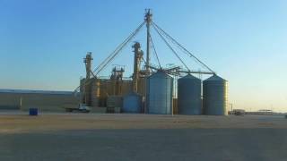 BARG Feedyard  Hereford Texas  Custom Cattle Feeding [upl. by Belter]