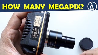 🔬 How many megapixels does a microscope camera need [upl. by Ynned]