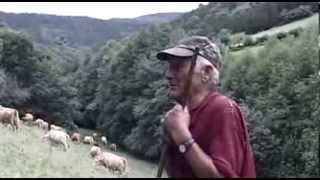 Galicia El Origen Documental subtitulado [upl. by Anneyehc]