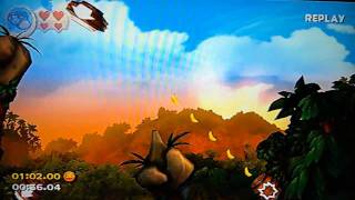 Donkey Kong Country Returns Speed Run  15 Canopy Canons in 10029 [upl. by Kcin]